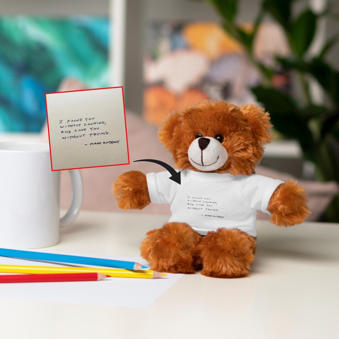 Custom Teddy Bear Plushie With Personalized Message, Valentine's Gift ...
