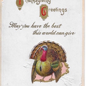 Thanksgiving Greetings Vintage Early Divided Back Embossed Turkey Postcard 1915 Excellent Condition
