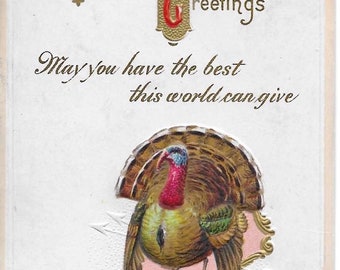 Vintage Embossed Turkey Thanksgiving Postcard: 1915 Greetings