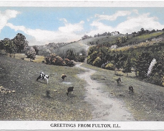 Vintage Greetings from Fulton Illinois Farm Cows Postcard 1925 White Border