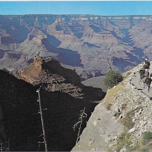 Vintage Arizona Postcard Scenic Bright Angel Trail Mule Train Grand Canyon 1970 Excellent Condition