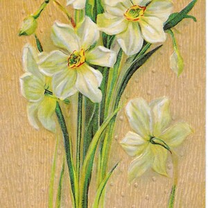 A Joyous Eastertide Vintage Postcard Bouquet of White Flowers Embossed Divided Back 1910 Excellent Condition