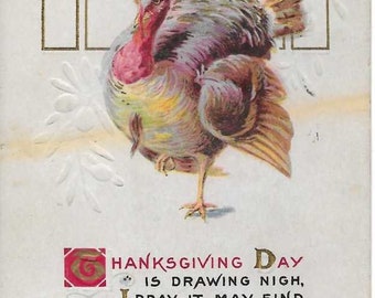 Vintage Embossed Thanksgiving Turkey Postcard - 1919