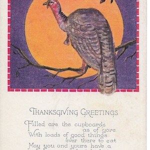 Thanksgiving Greetings Vintage White Border Turkey Moon Pumpkins Postcard 1930 Excellent Condition