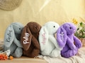 Personalized Embroidered Bunny Rabbit,Monogrammed Bunny,Newborn Baby Gift,Baby Shower Gift,Stuffed Animal,Plush Bunny Toy,Gift For Kid