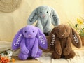 Personalized Plush Bunny Rabbit,Embroidered Monogrammed Bunny,Newborn Baby Gift,Baby Shower Gift,Stuffed Animal,Plush Bunny Toy,Gift For Kid