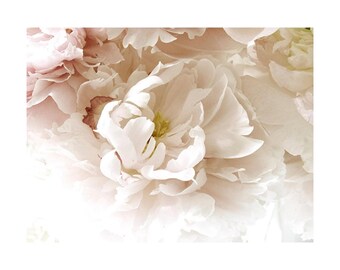 Peony Boho Art Print, Pastel Flower Photography