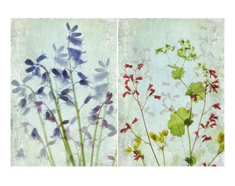 Botanical Pressed Flower Art Print Set of 2, Shabby Chic Wall Decor,  Scanner Art  Prints