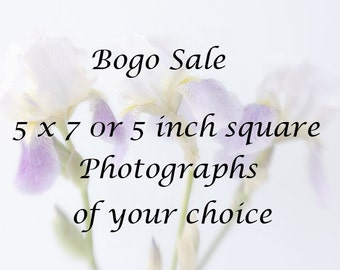 5 x7 or 5 inch Square Prints, Bogo Sale, Photos of Your Choice,  Fine Art Photographs