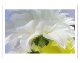 White Dahlia Card, Flower Photo card,  Floral Note Card, Blank Card