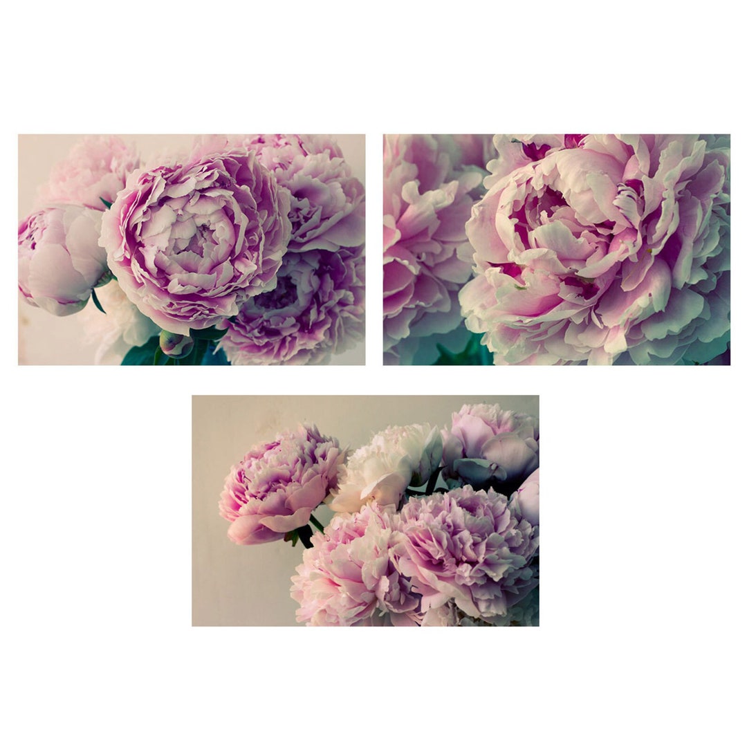 Peony Print Set Peony Art Peony Wall Decor Bedroom Art - Etsy