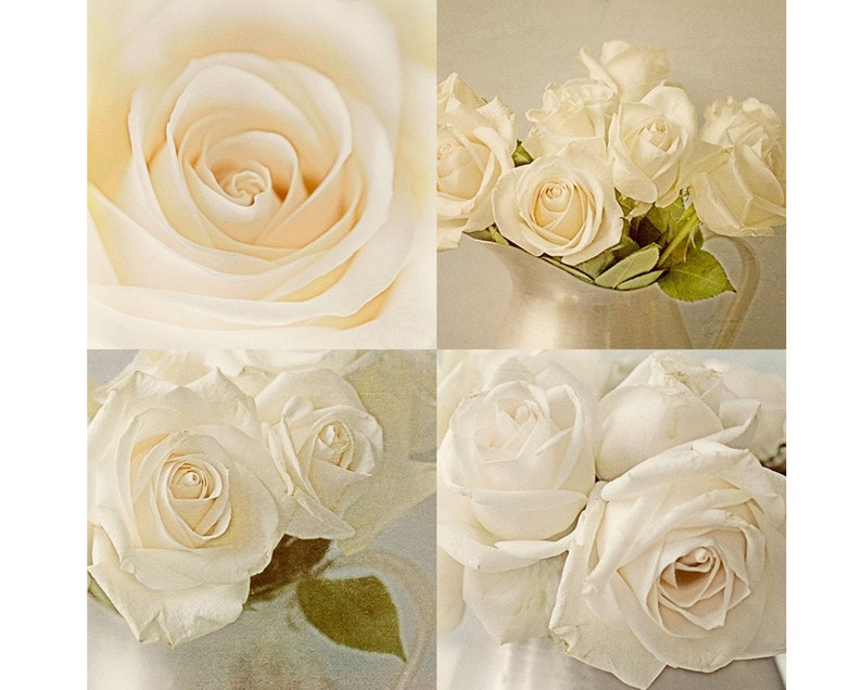 White Rose Print Set of 4, Rose Photographs, French Country Wall Decor, Country Chic Decor image 1