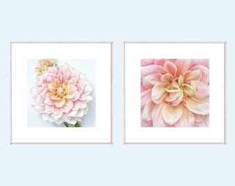 Dahlia Flower Print Set of 2, Two Dahlia Photographs