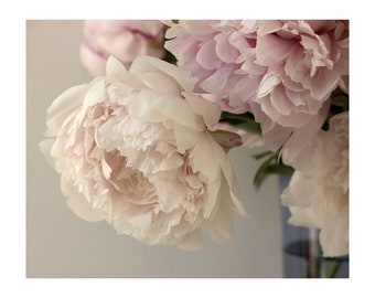 Pastel Peony Photograph, Flower Photography, Romantic Floral Art Print, Cottage Chic, Peony Print