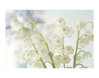 Photographie de fleurs de muguet, art mural blanc