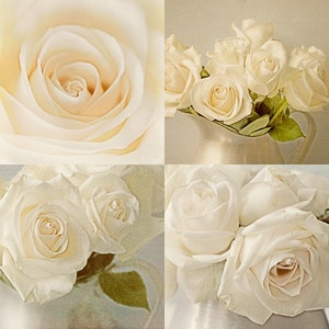 White Rose Print Set of 4, Rose Photographs, French Country Wall Decor, Country Chic Decor image 2