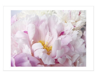 Pink Peony Photo Card, Blank Flower Greeting Card