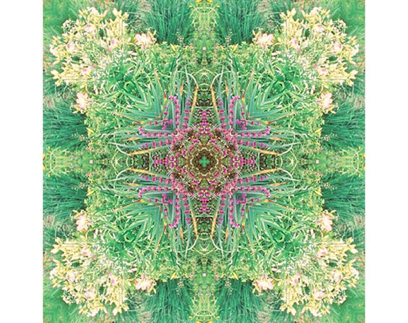 Pu&ograve; includere: Un'immagine di caleidoscopio simmetrica di un giardino con fogliame verde, fiori viola e fiori bianchi.