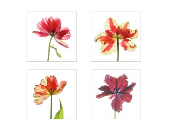 Digital Set of Four Tulip Prints, Printable Botanical Wall Art