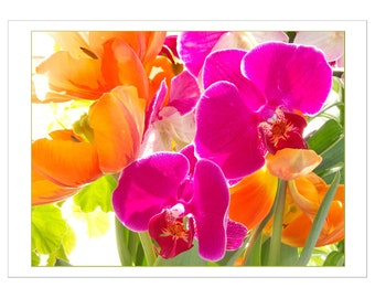 Carte vierge de beaux-arts de fleurs lumineuses, photo d'orchidée, de tulipe