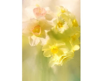 Daffodil Greeting Card, Fine Art Note Card, Floral Notecard, Blank Card Flower