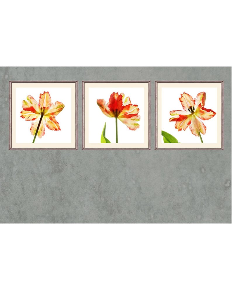 Printable Tulip Print Set of 3, Bright Flower Wall Art - Etsy