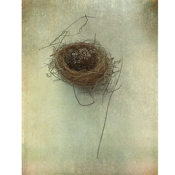 Birds Nest Photograph, Wabi Sabi Art, Nature Photography, Fine Art Print, Cottage Chic Wall Decor, Rustic Decor, Minimalist Art