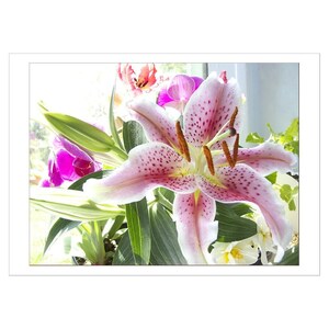 Pink Lily Flower Note Card with Envelope
