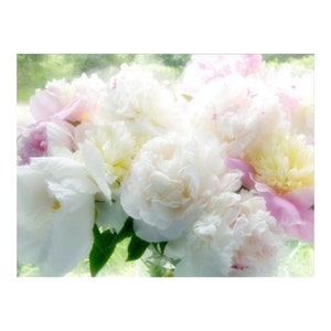 Peony Art Print, Pink White Photograph, Gift for Mother