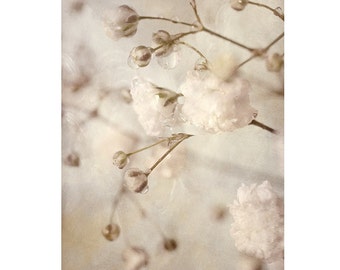 Macro Flower Photograph, Baby's Breath Art, Neutral Decor, Sepia Print,  White Flower Photography,