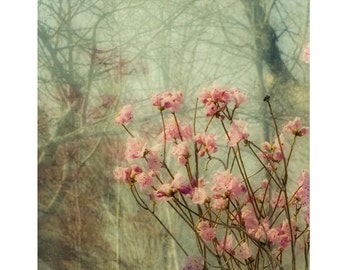 Azalea Photograph, Pink Flower Photography, Boho Wall Art, Shabby Chic  Decor