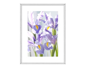 Printable Purple Iris Floral Print: Original Flower Photography
