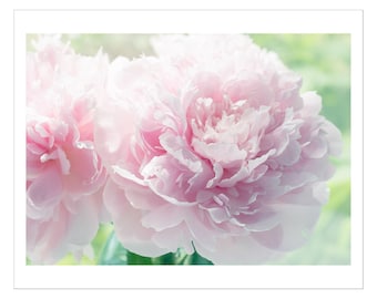 Sunny Pink Peony Flower Photo Card, Original Photograph