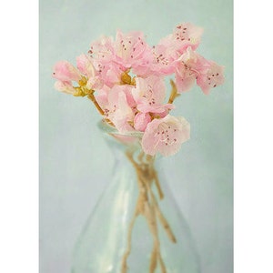 Azalea Art Print, Still Life Photograph image 2