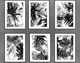 Six Black and White Tropical Leaf Photographs, Monstera Art Prints