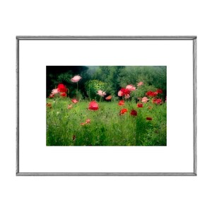 Printable Red Poppy Field Photograph, Digital Garden Landscape Print