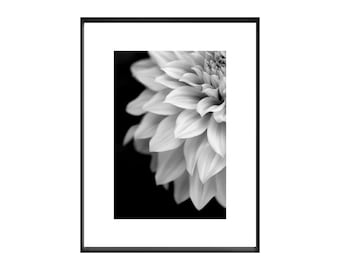 Black and White Dahlia Photograph,  Minimalist Dahlia Art Print, Flower Photography, Contemporary Wall Art