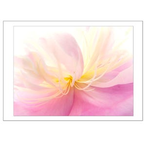 Pink Peony Flower Note Card, Blank