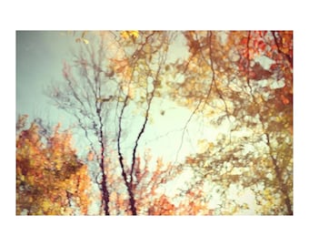 Tree Photography, Abstract Art, Rustic Wall Decor, Fall Foliage Photo, Reflection Art