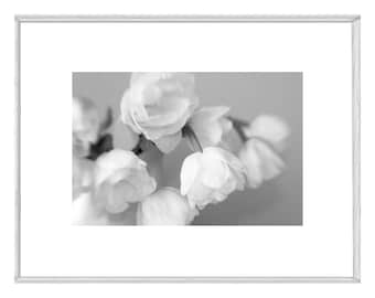 Printable Black and White Tulip Flower Photograph, Digital Floral Wall Art