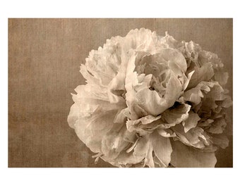 Sepia Photography, Peony Wall Art, Floral Art Print, Flower Photography, Rustic Decor