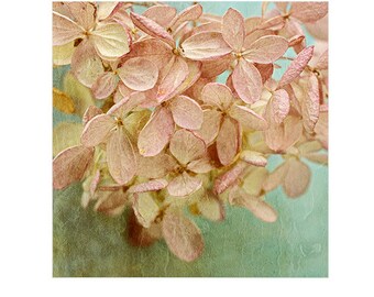 Hydrangea Print, Rustic Wall Decor, Modern Farmhouse Wall Art, Flower Photograph, Pink Mint