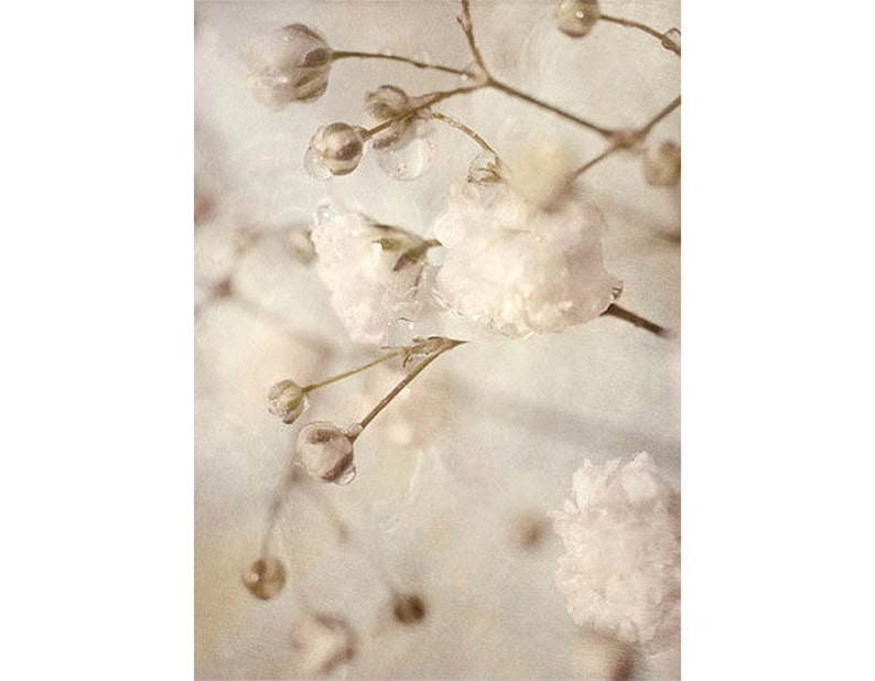 Macro Flower Photograph, Baby's Breath Art, Neutral Decor, Sepia Print, White Flower Photography, imagem 2