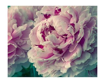 Dark Peony Floral Print: Romantic Flower Photography