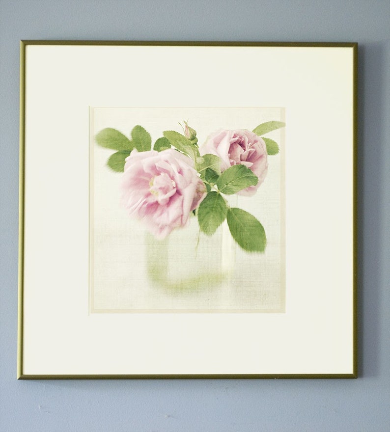 Rose Art Print, Still Life Flowers, Rose Photograph, Floral Art Print, Shabby Chic Home image 2