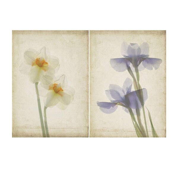 Botanical Art Print Set of 2,  Pressed Flower Wall Art, Iris and Daffodil Floral Art