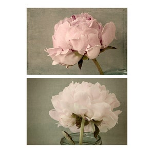 Peony Photographs Print Set of 2, Floral Art Prints, French Country Art image 1