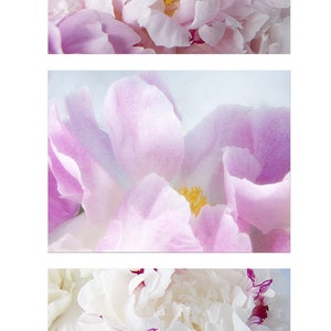 Peony Note Card Set of 3 With Envelopes, Blank Card, Floral Greeting ...