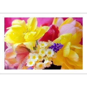 Spring Flowers Photo Card, Blank Greeting Card, Tulip, Primrose
