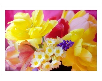 Carte photo fleurs printanières, carte de voeux vierge, tulipe, primevère